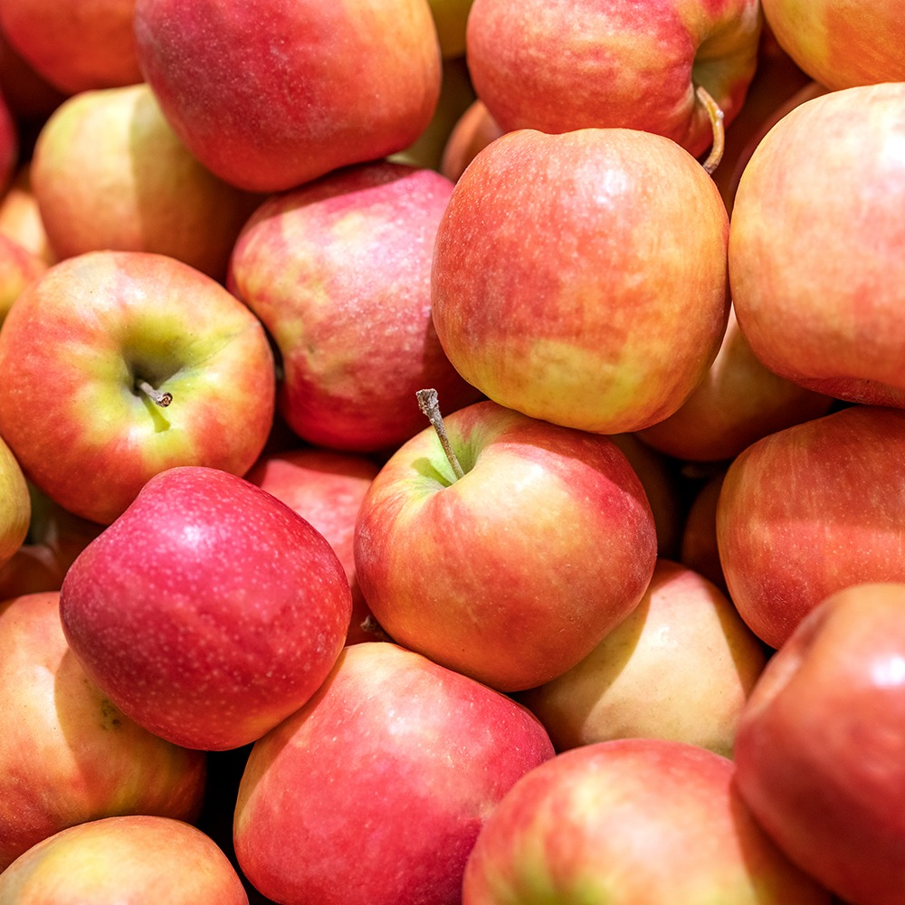 당진 해나루 사과 5kg (11~13과/17~19과)