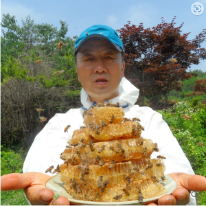 이강신의 허니드림 벌꿀(아카시아/야생화/밤꿀 2.4kg)